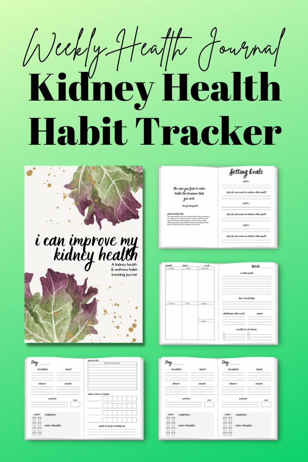 interior pages of kidney health habit tracker